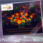 Les deseamos un Feliz y Próspero año 2013